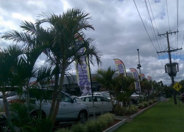 FEATHER AND TEARDROP BANNERS - Image 8